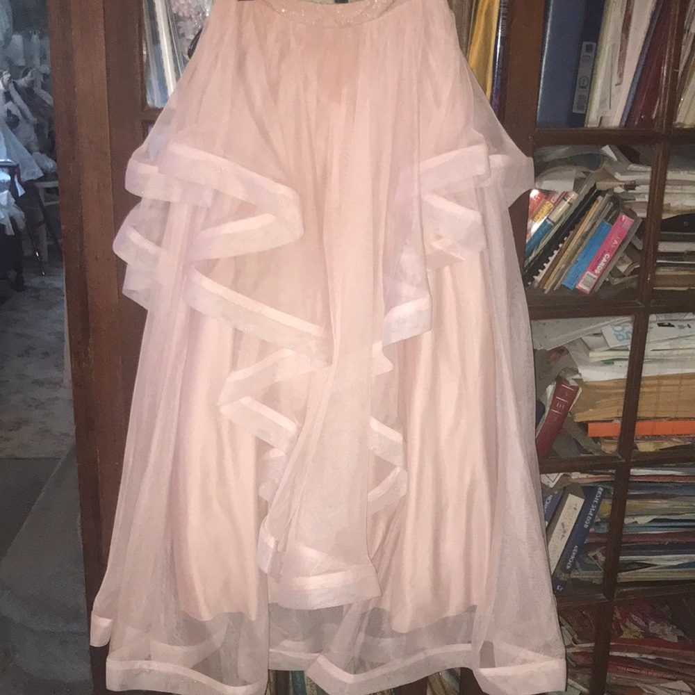 Very fancy blush  ruffle skirt.